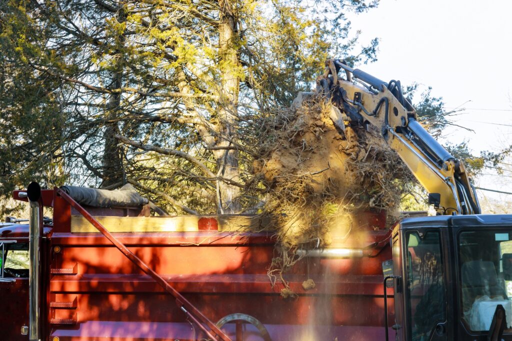 Service removes a tree branches stacked on ground with special tractor