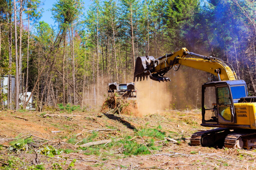 Trees are uprooted during preparation of a construction site when an excavator is being used by
